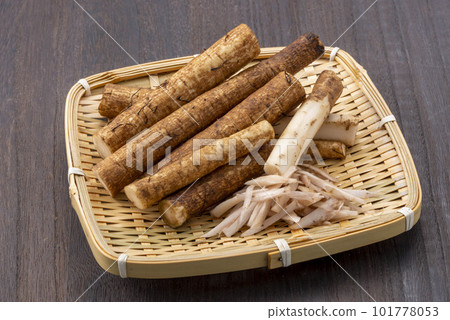 Fresh burdock 101778053