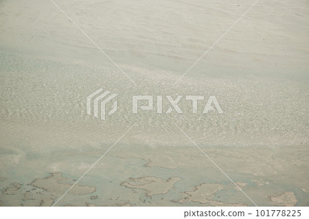 close up of mud and sand in low tide sea in Thailand 101778225