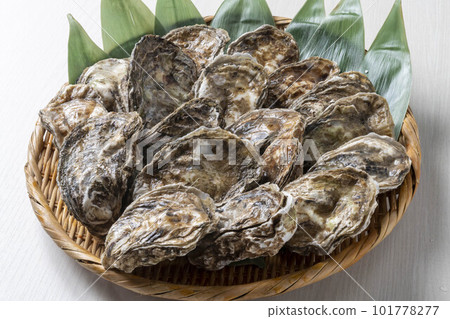 Delicious oysters with fresh seafood Delicious oysters with fresh seafood 101778277