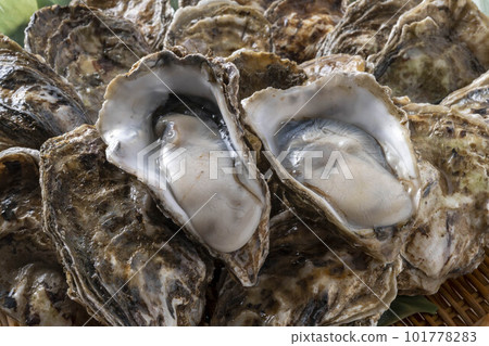 美味的牡蠣和新鮮的海鮮 101778283