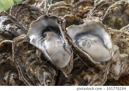 美味的牡蠣和新鮮的海鮮 101778284