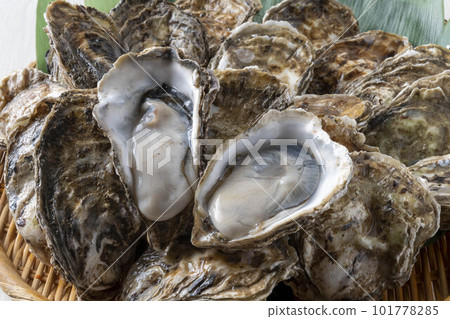 Delicious oysters with fresh seafood Delicious oysters with fresh seafood 101778285
