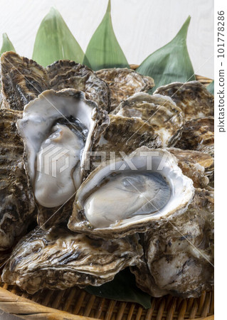 Delicious oysters with fresh seafood 101778286