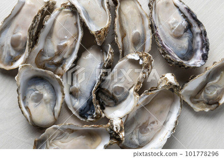 美味的牡蠣和新鮮的海鮮 美味的牡蠣和新鮮的海鮮 101778296