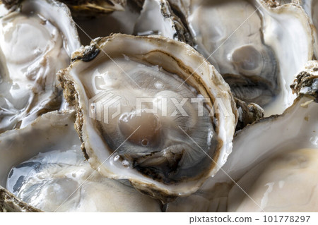 美味的牡蠣和新鮮的海鮮 101778297