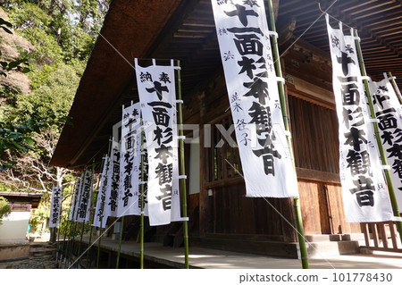 杉本-DERA 杉本-DERA 101778430