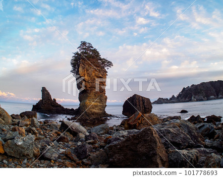 Taro has Sanno Rock Taro has Sanno Rock 101778693