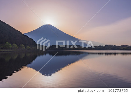 (Shizuoka Prefecture) Lake Tanuki Diamond Fuji 101778765
