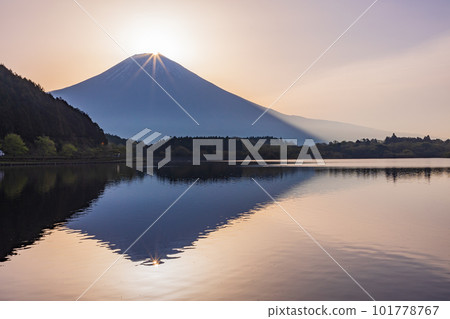 （靜岡縣）狸湖鑽石富士 101778767