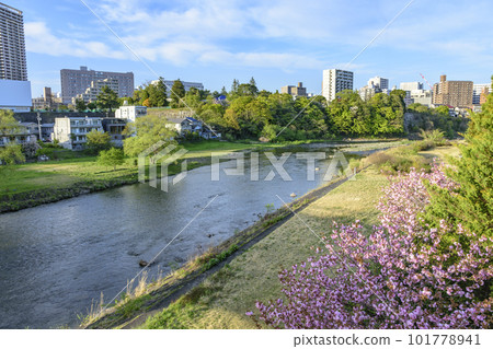 Sendai's fresh greenery, walking along the Hirose River Sendai's fresh greenery, walking along the Hirose River 101778941