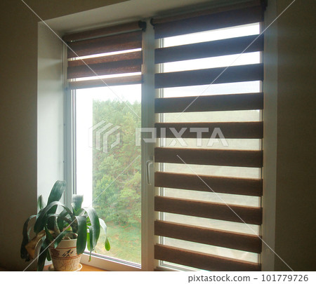 Double roller blinds closeup on the window in the interior. Dual roller shades beige color close-up. Zebra blinds. Double roller blinds closeup on the window in the interior. Dual roller shades beige color close-up. Zebra blinds. 101779726