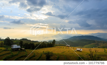 Beautiful landscape view of rice terraces in chiang mai , Thailand. Rice seedling on terrace rice fields with sunbeam. Beautiful landscape view of rice terraces in chiang mai , Thailand. Rice seedling on terrace rice fields with sunbeam. 101779786