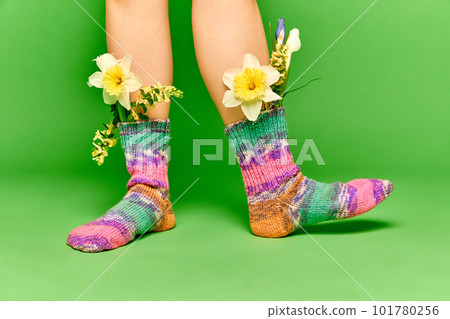 Creative portrait female feet with beautiful wildflowers inside colorful socks on green studio background. Closeup. New spring trend 101780256