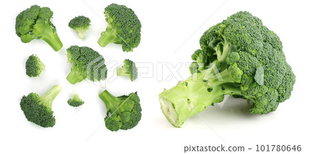fresh broccoli isolated on white background. Top view. Flat lay pattern fresh broccoli isolated on white background. Top view. Flat lay pattern 101780646