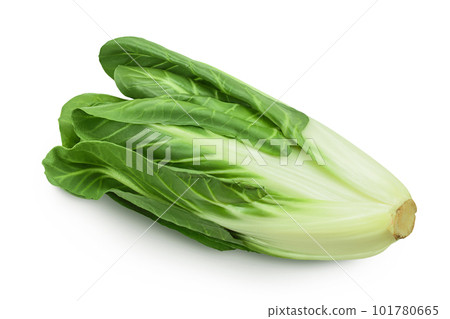 Organic fresh chard plant isolated on white background with full depth of field 101780665