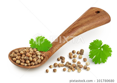 Dried coriander seeds in the wooden spoon with fresh green leaf isolated on white background 101780680