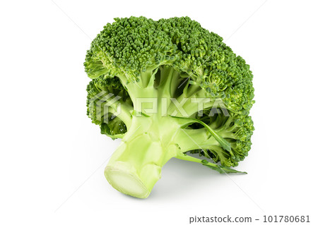 fresh broccoli isolated on white background close-up with full depth of field. fresh broccoli isolated on white background close-up with full depth of field. 101780681