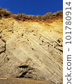 Cliff with strata visible 101780914