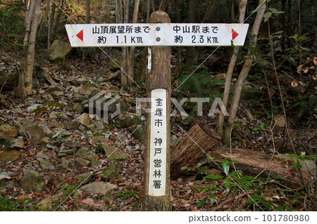 指示山頂展望台和中山站（中山觀音站）方向的中山穿越目的地顯示板 101780980