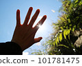 The sun shines through the hands 101781475
