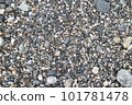 Pebbles by the sea 101781478