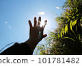 hand that wants to hold the sun 101781482