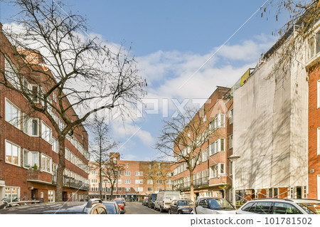a city street with cars parked on the curbs and trees in the middle part of the street is bare 101781502