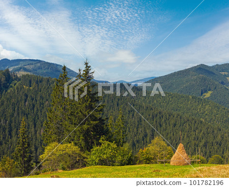 Summer mountainous green meadow with stack of hay (Carpathian Mts, Ukraine). Summer mountainous green meadow with stack of hay (Carpathian Mts, Ukraine). 101782196