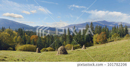 Autumn mountainous green meadow with stack of hay (Jasynja village outskirts, Zacarpatsjka Region, Carpathian Mts, Ukraine). Autumn mountainous green meadow with stack of hay (Jasynja village outskirts, Zacarpatsjka Region, Carpathian Mts, Ukraine). 101782206
