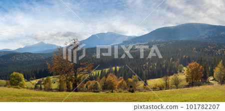Beautiful autumn morning near Carpathian village outskirts (in counter light). 101782207