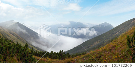 Misty Carpathian Mountains (Ukraine) landscape (with distant birds in sky). 101782209