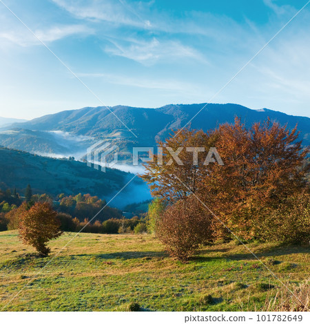 Autumn misty morning mountain hill (Carpathian Mountains, Ukraine). Autumn misty morning mountain hill (Carpathian Mountains, Ukraine). 101782649