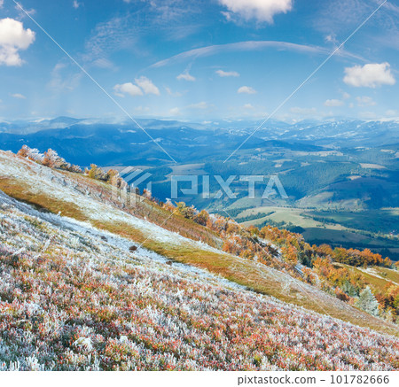 First winter snow and autumn colourful foliage on mountain 101782666