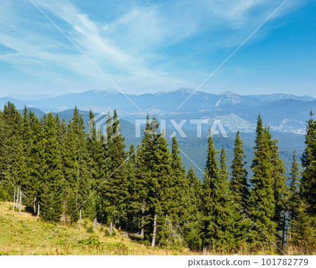 Summer mountain view (Carpathian, Ukraine). 101782779