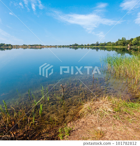 Summer lake calm rushy shore. Summer lake calm rushy shore. 101782812