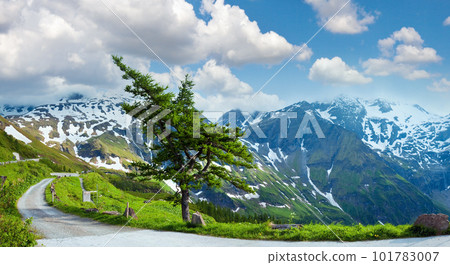 Tranquil summer Alps mountain panorama with lonely pine tree. 101783007
