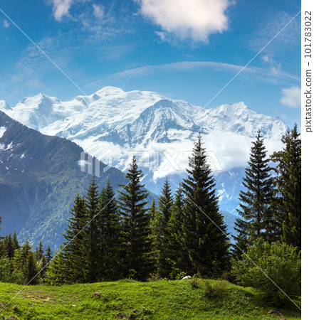 Mont Blanc mountain massif (view from Plaine Joux outskirts) 101783022