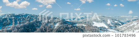 Winter Carpathian Mountains landscape with fir forest and lonely house on slopes (Skole, Lviv Oblast, Ukraine). Winter Carpathian Mountains landscape with fir forest and lonely house on slopes (Skole, Lviv Oblast, Ukraine). 101783496