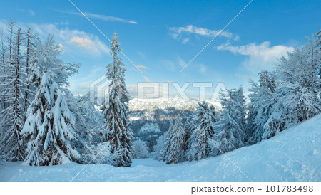 The first shadows of setting sun on winter mountain slopes (Skole, Lviv Oblast, Carpathians, Ukraine). 101783498
