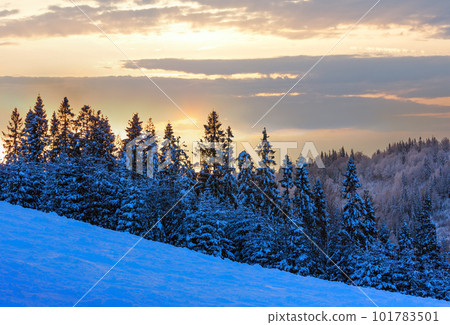 Winter Ukrainian Carpathian Mountains landscape. 101783501