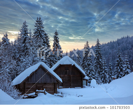 Evening winter Ukrainian Carpathian Mountains landscape. 101783503