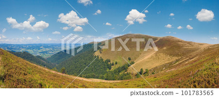 Summer mountain panorama (Ukraine, Carpathian Mountains). 101783565