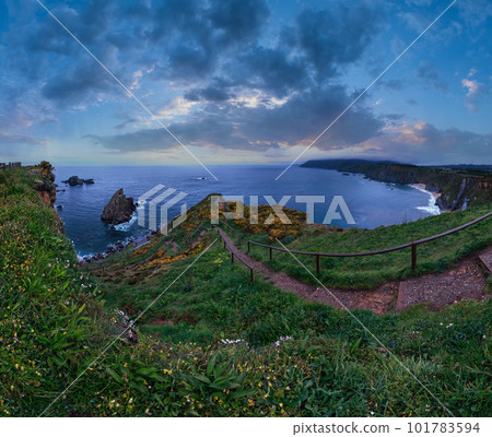 Evening Costa de Loiba landscape with flowers and footpath to beach (Asturias, Spain). 101783594