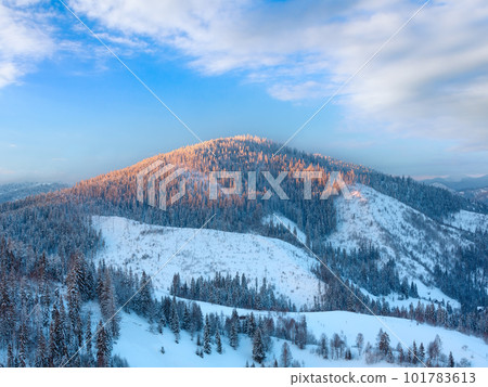Evening winter Ukrainian Carpathian Mountains landscape. 101783613