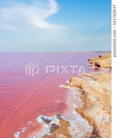 Pink salty Syvash Lake, Ukraine Pink salty Syvash Lake, Ukraine 101783637