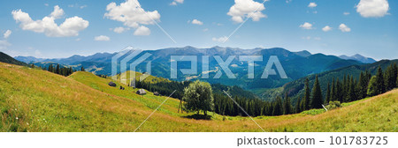 Summer mountain panorama Summer mountain panorama 101783725