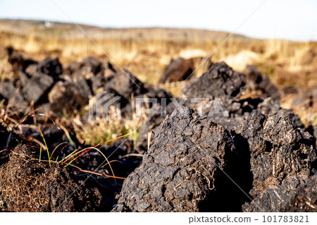 Peat Turf cutting in County Donegal - Ireland 101783821
