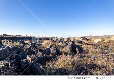 Peat Turf cutting in County Donegal - Ireland 101783822