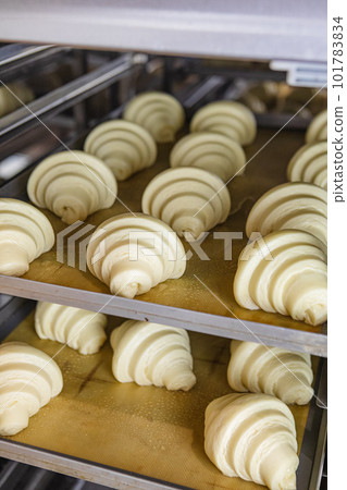 Proofed croissants on baking sheet 101783834