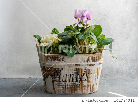 Beautiful floral composition in the pot 101784011